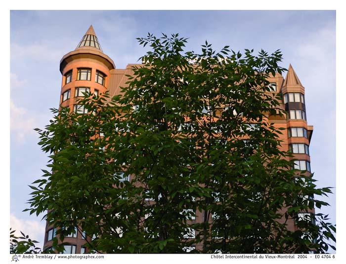 L'hôtel Intercontinental du Vieux-Montréal