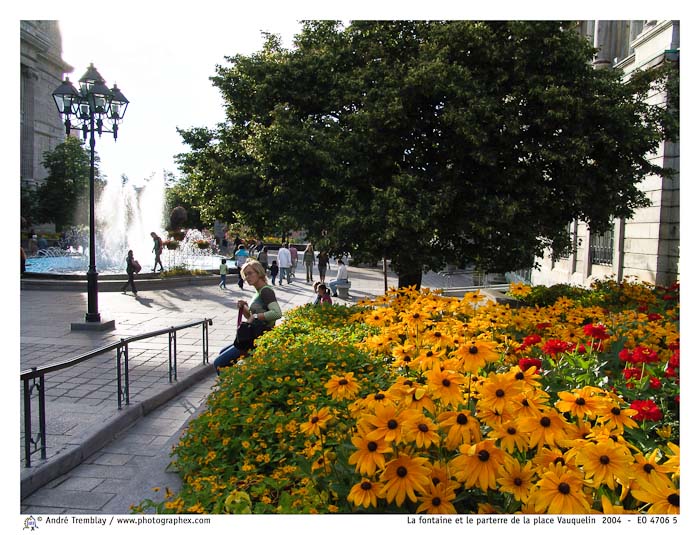 La fontaine et le parterre de la place Vauquelin