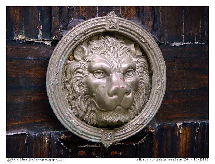 Le lion de la porte de l'Alliance Belge