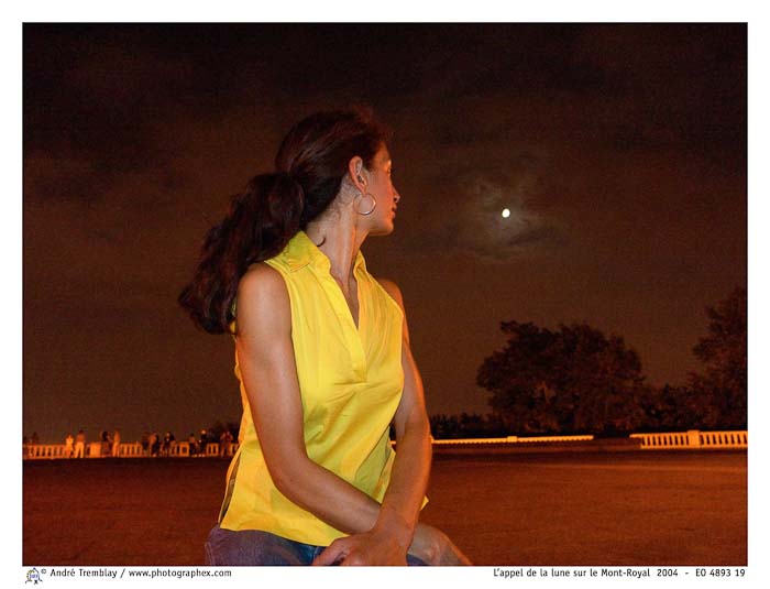L'appel de la lune sur le Mont-Royal