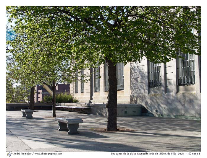 Les bancs de la place Vauquelin près de l'Hôtel de Ville