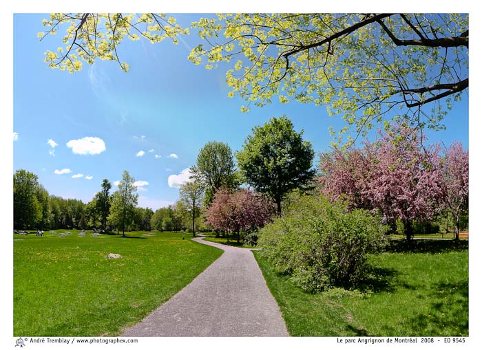 Le parc Angrignon de Montréal