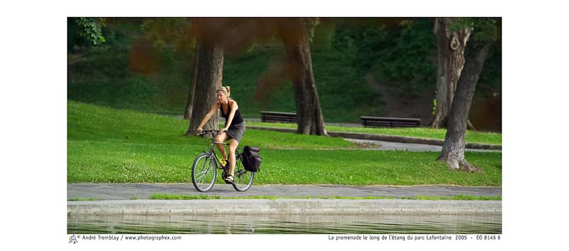 La promenade le long de l'étang du parc Lafontaine