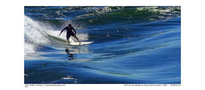 Surf sur les rapides du fleuve Saint-Laurent